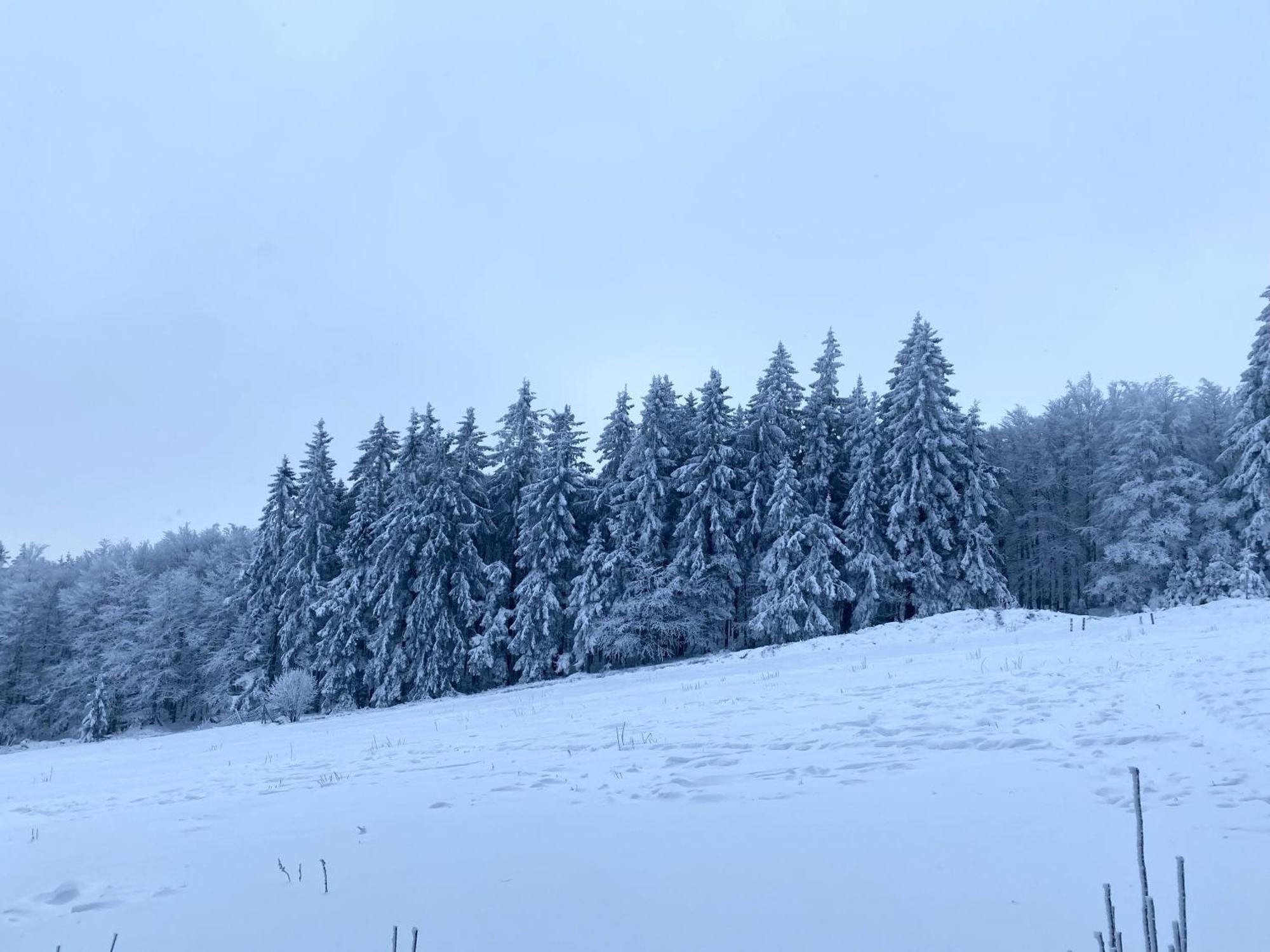 Le Chalet Du Hohwald Exteriér fotografie
