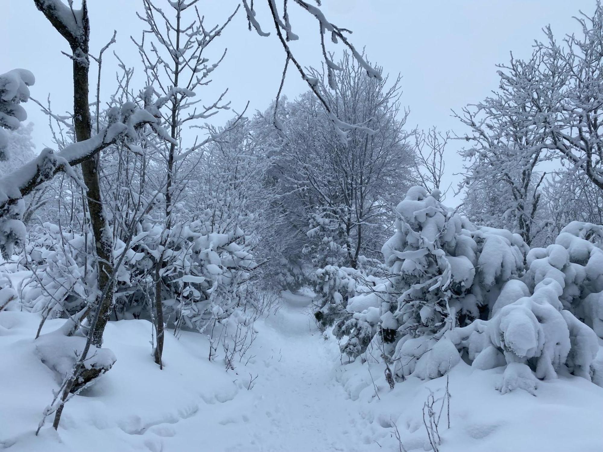Le Chalet Du Hohwald Exteriér fotografie
